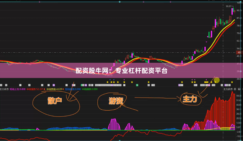 配资股牛网：专业杠杆配资平台