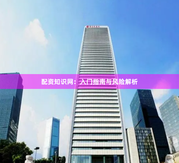 配资知识网：入门指南与风险解析
